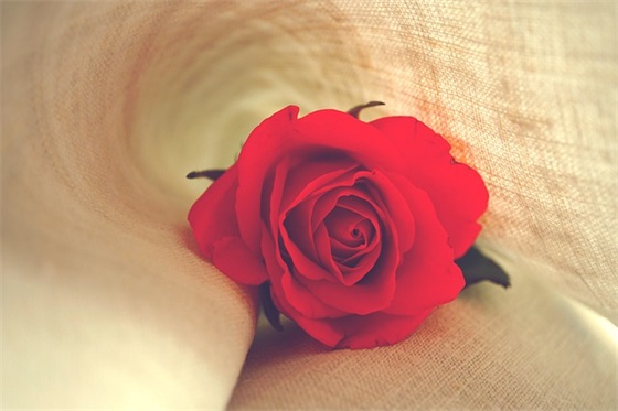 春节生日祝福语精致精选 春节生日祝福语大全