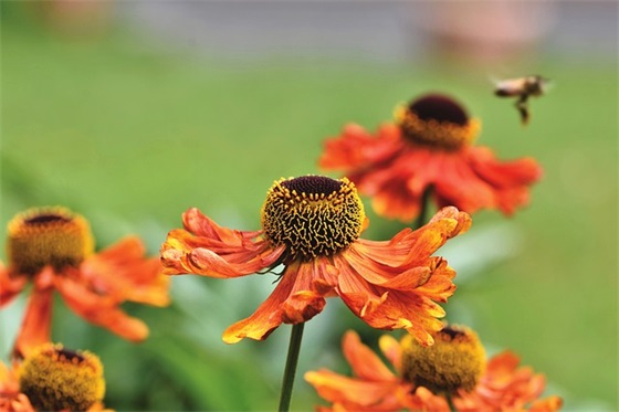 入伙祝福语字 入新居祝福语字