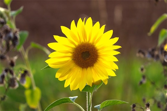 朋友结婚祝福语简短 朋友结婚祝福语简短10字