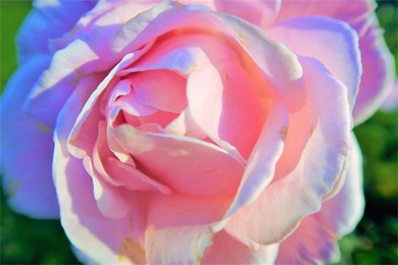 2026跨年祝福语大全 跨年祝福语短句大全