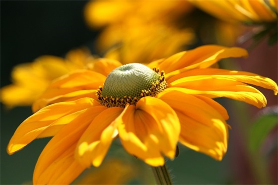建团100周年祝福语简短(建团100周年励志青春祝福语)