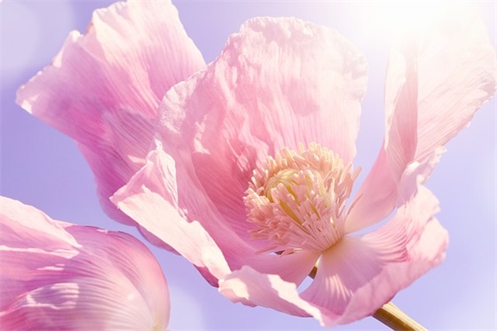 三八节贺卡幽默祝福语大全