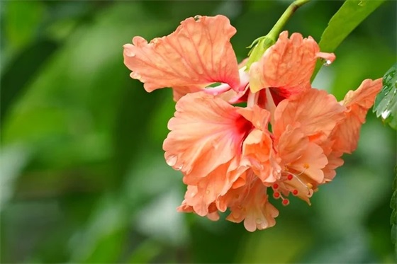 执行力标语80句