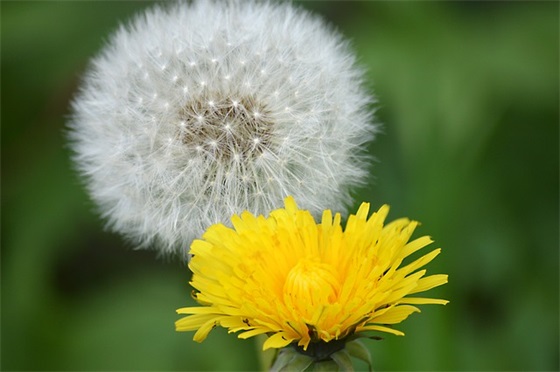 电器口号霸气押韵85句