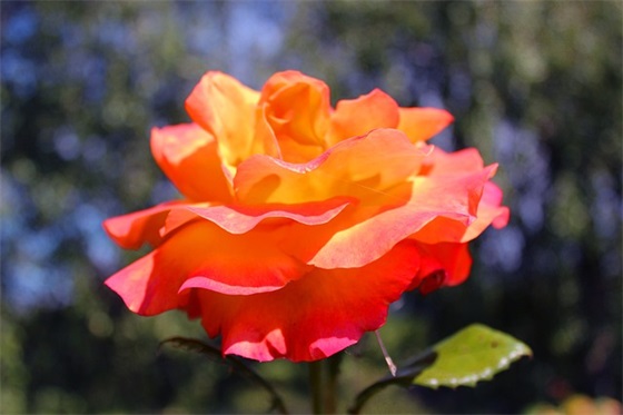 经典的企业文化口号