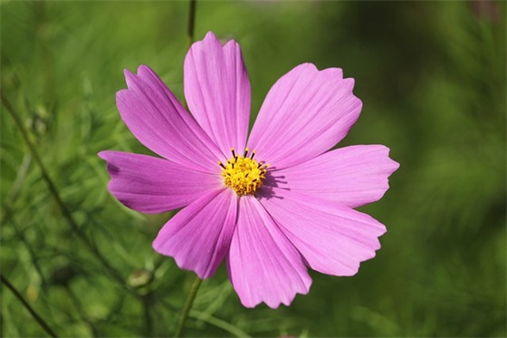 口号霸气团队81句