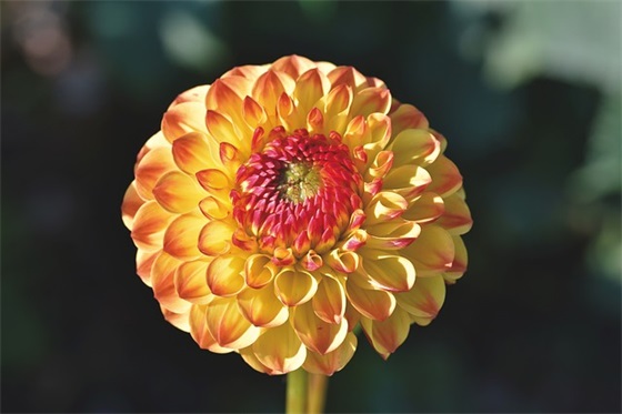 霸气的餐饮团队口号82句 霸气的餐饮团队口号82句