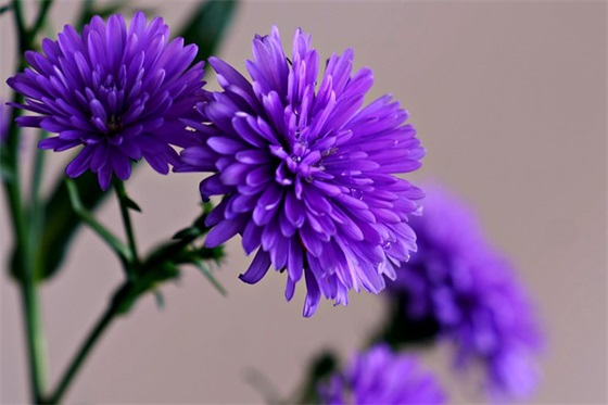 毕业班标语80句