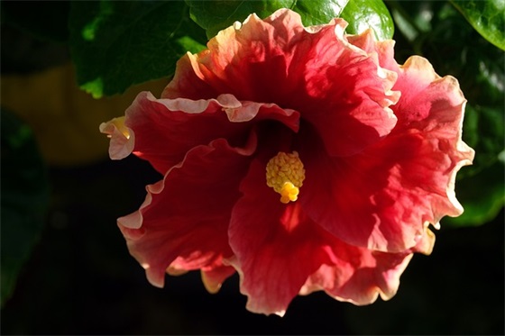 小学运动会口号98句