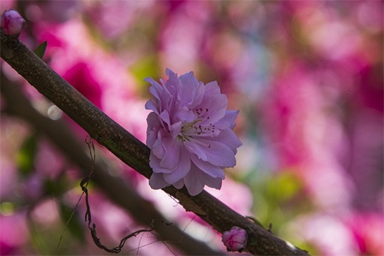 单位体育活动口号83句 单位体育活动口号83句