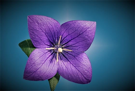 扶贫日宣传口号标语最新 扶贫日宣传口号标语最新