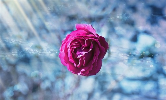 加油口号83句 加油口号83句