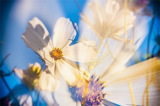 创意企业口号83句 创意企业口号83句