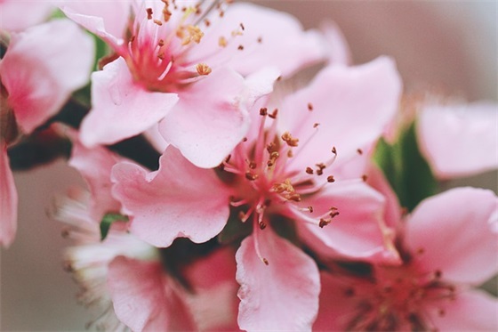 开展阳光体育运动口号81句 开展阳光体育运动口号81句