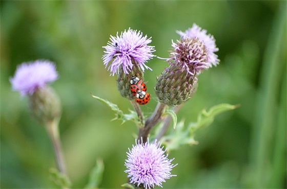 科技体育宣传口号83句 科技体育宣传口号83句