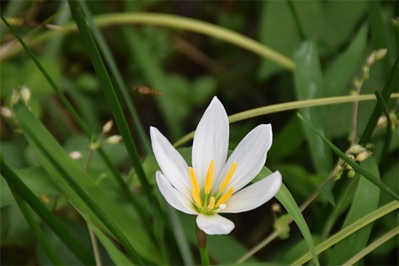 安全宣言人口号大全81句