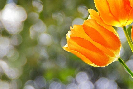 学校学雷锋宣传标语96句 学校学雷锋宣传标语96句