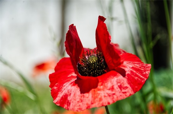 旅游企业文化标语89句