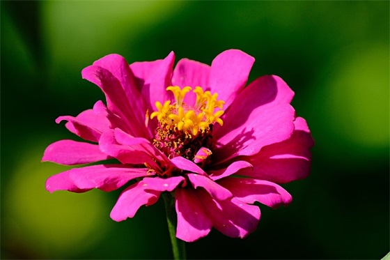 保护森林的宣传语口号91句 保护森林的宣传语口号91句