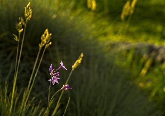 厨房光盘行动宣传标语口号2025 厨房光盘行动宣传标语口号2025