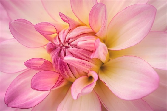 高考百日冲刺口号霸气85句