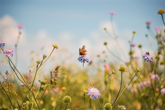 出租屋标语广告113句