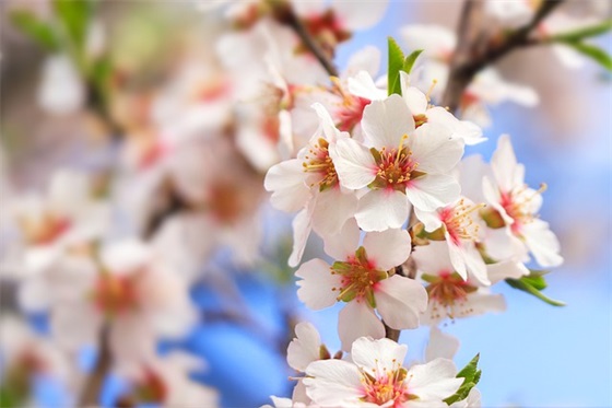 房产广告标语大全90句