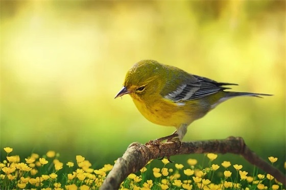 学校六一标语75句