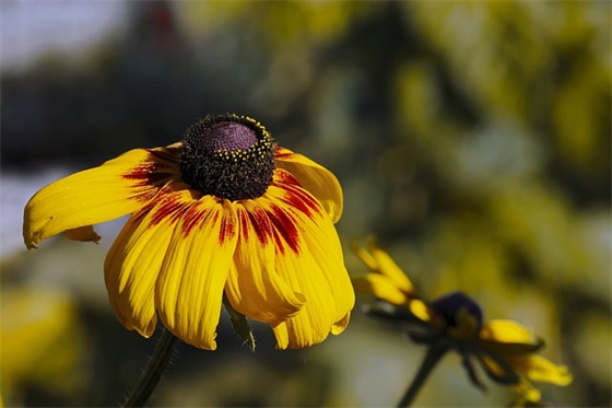 幼儿园运动会口号