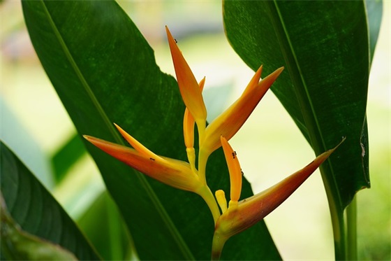 爱国主义口号霸气87句