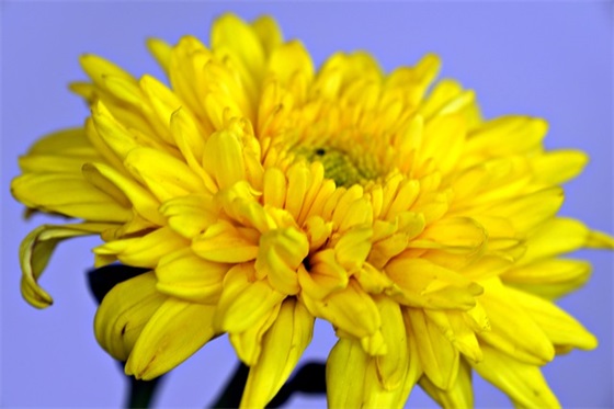 高考百日誓师班级口号84句