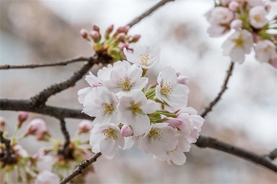 创新企业口号86句