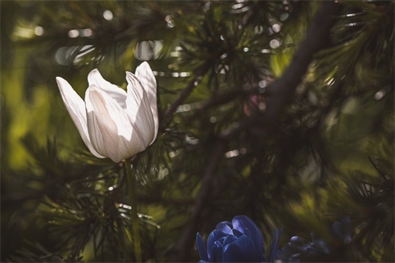 汽车维修广告标语115句