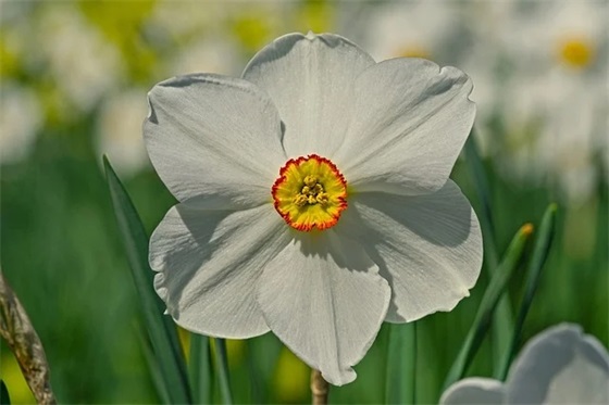 乡镇交通安全宣传标语96句