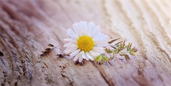 房产销售晨会口号87句