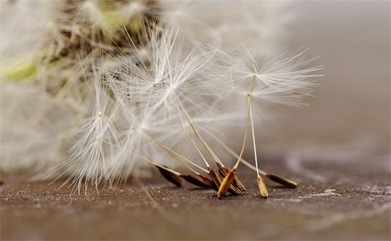 房地产销售公司口号83句