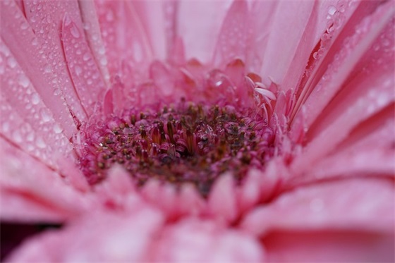 2025年员工食堂杜绝浪费标语口号