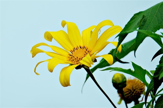 全民国防教育日横幅宣传口号