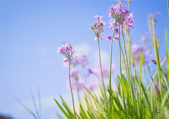 宪法宣传周标语横幅口号押韵