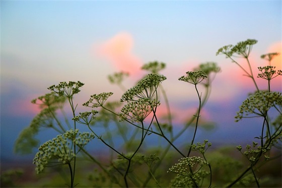 企业培训横幅标语大全90句