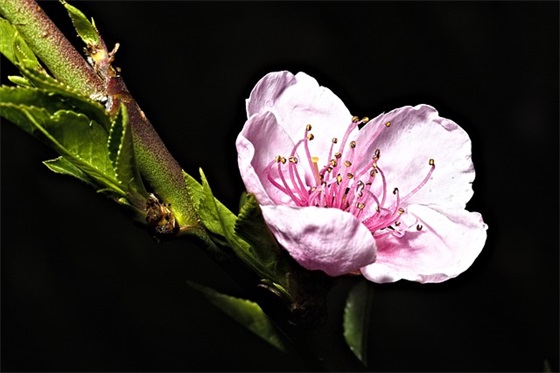 发展的标语87句