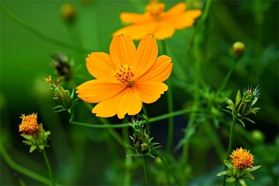 房地产早会口号大全84句