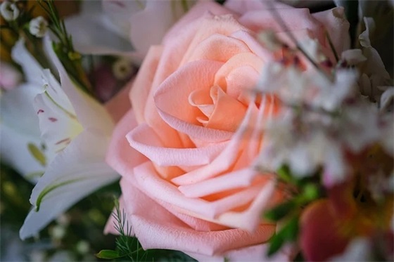 高三体育班的冲刺口号85句