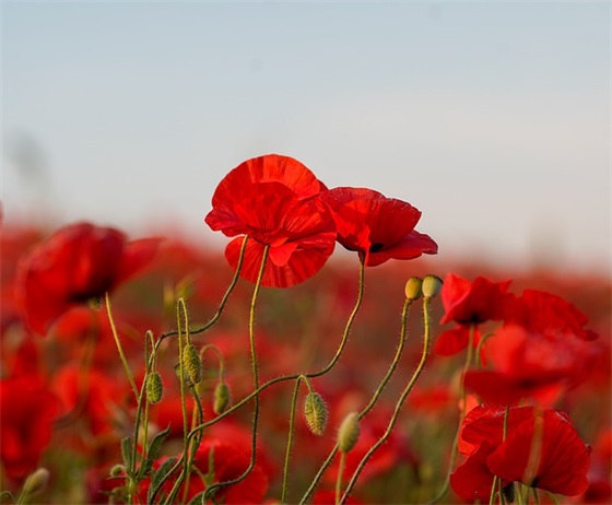 驾校企业口号84句