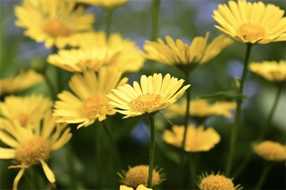 关于销售的宣传口号84句