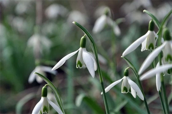 90后销售冠军口号82句