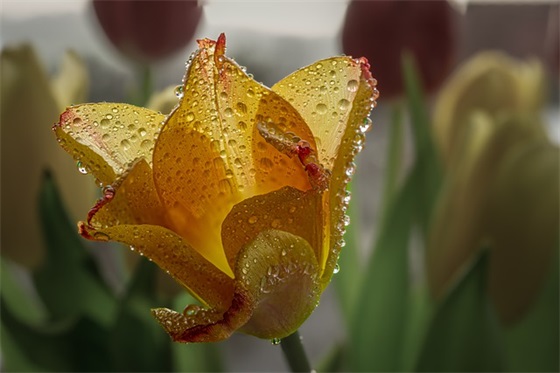 霸气的的口号大全87句