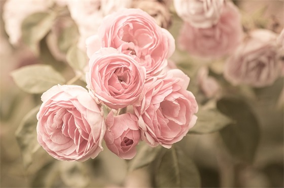 珍爱生命预防溺水标语图片