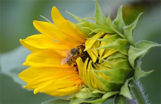 班级口号励志 班级口号押韵励志