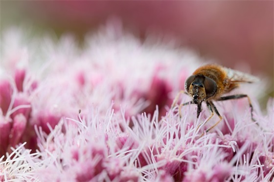 高三百日冲刺班级口号85句